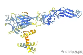 Nature重磅研究：AlphaFold绘制病毒「族谱」，揭开身世之谜图片