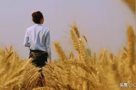 “七月初一早看天，一年不用问神仙”，明日七月初一，有何预兆？图片