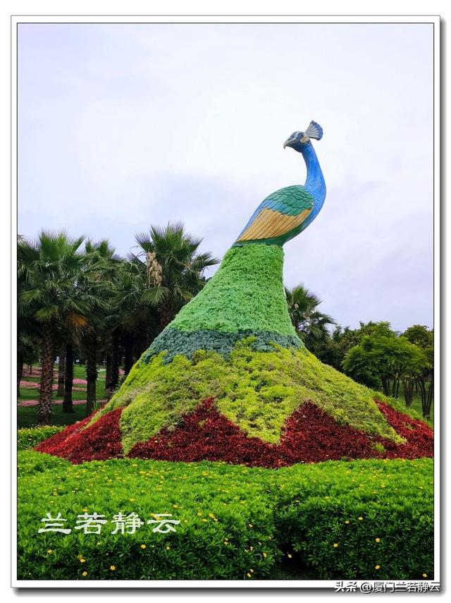 云南弥勒：太平湖森林公园的大地艺术作品