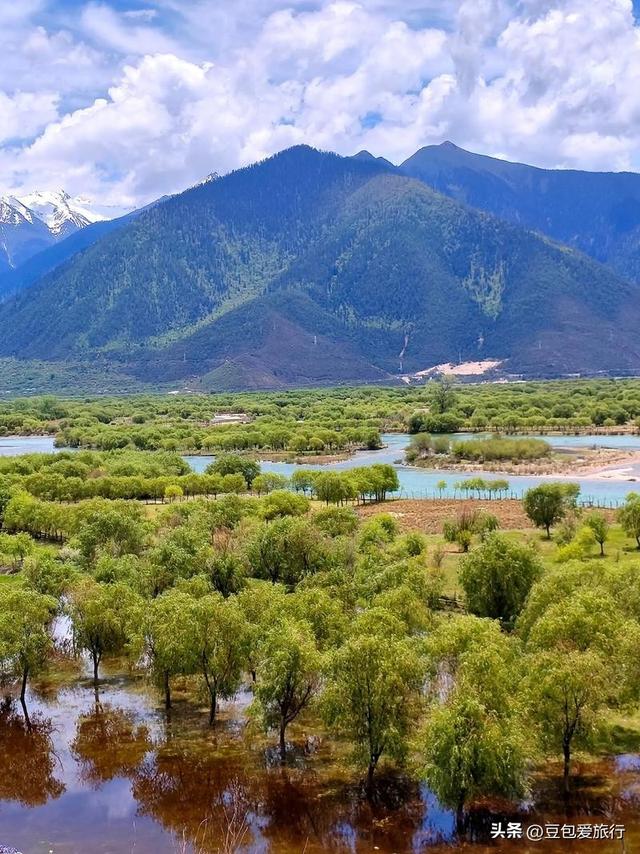 西藏林芝深度游：邂逅雪山桃花与森林的浪漫