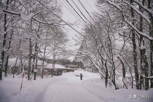 说起冬季日本看雪，难道只有北海道吗？