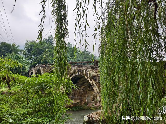 成都徒步（69）·彭州篇⑯法藏寺环线（桥断未走通）