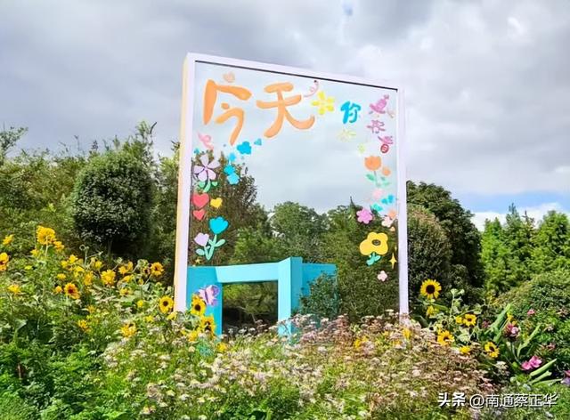 就在今天！紫琅花谷上新啦……