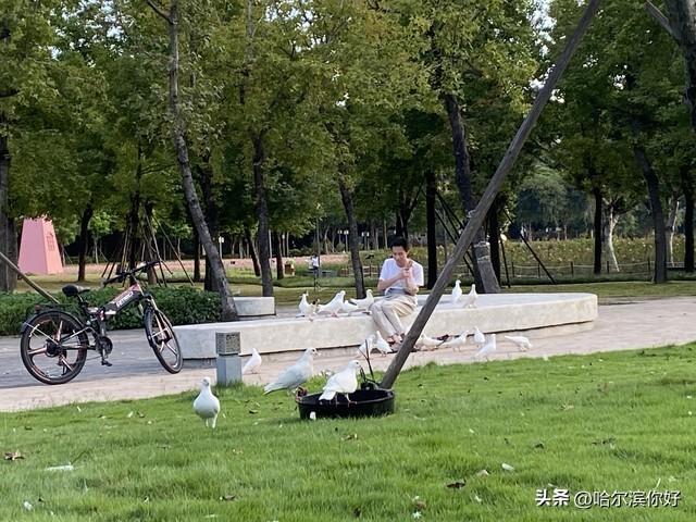 大连，这些地方值得一去