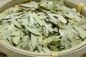 番泻叶通便的效果怎么样？图片