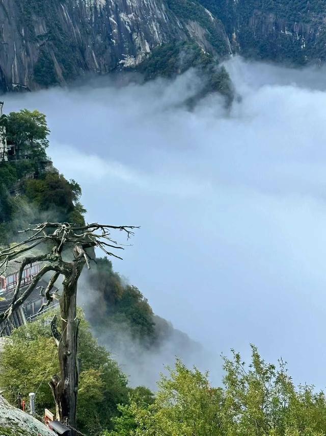 5个观景台+凌晨4点的日出：华山的险，藏着让人尖叫的光影密码