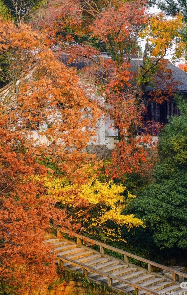 来虎丘山，这里有你更好看！