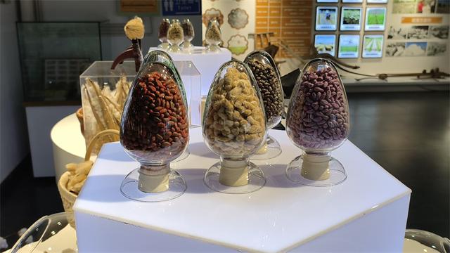 沿着黄河遇见海丨打卡山东省内唯一棉花博物馆 看工业旅游新创意