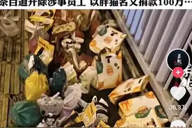 胖猫空包事件，麦当劳成唯一例外，撕掉了本土餐饮品牌的遮羞布图片