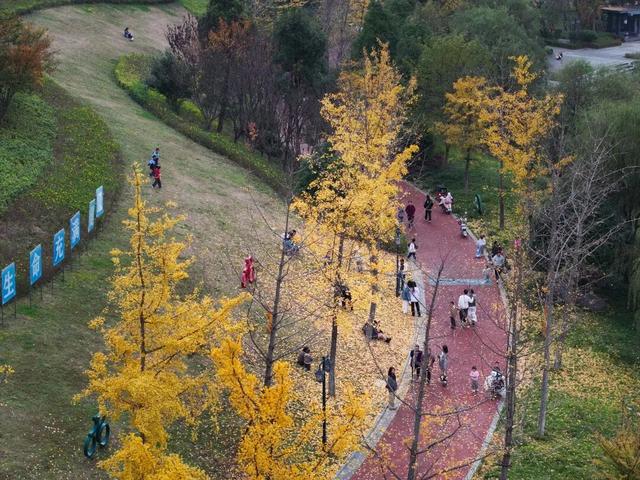 周末，和桐梓来场约会~