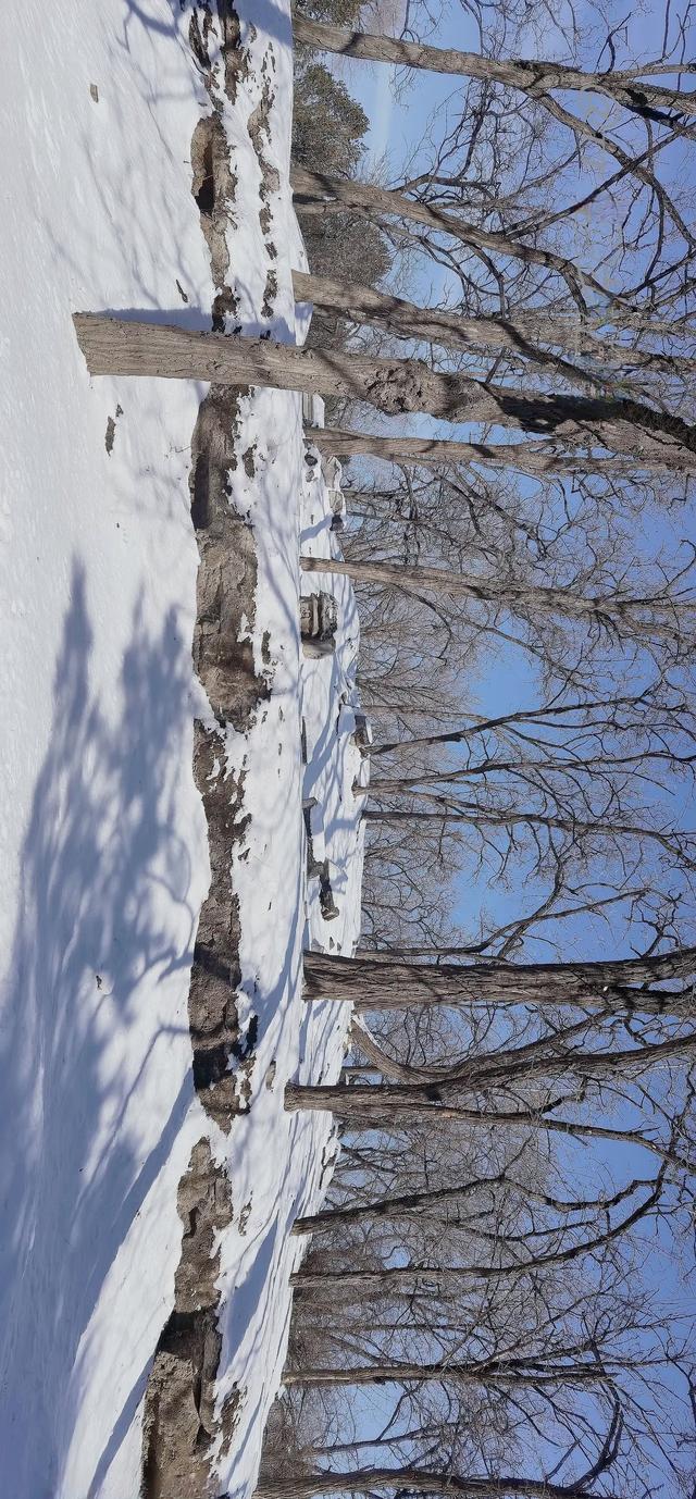 北京：圆明园冬雪（1）雪覆残垣断壁，古韵新章