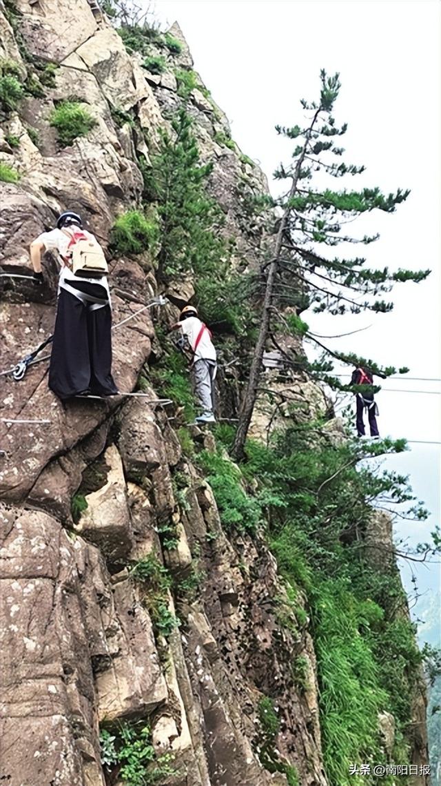 西峡老界岭2025避暑季启幕