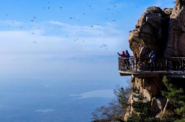 2026“马”年免费福利、吃临沂炒鸡送门票、年卡……千万别错过！