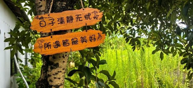 镜水生态庄园：在田园与胜景间，寻回生活本真