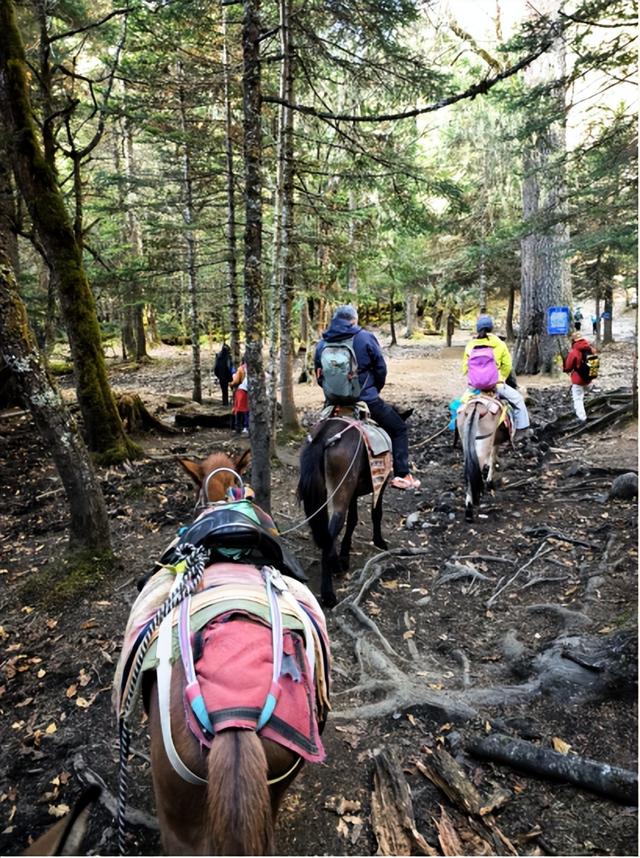 雨崩，一个让人语崩的地方（二）冰湖，上帝的最后一滴眼泪