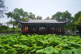 那些藏在诗词里的山东图片