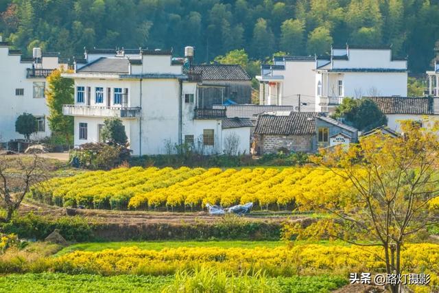 为什么说“租房旅居”是最划算的旅行方式？
