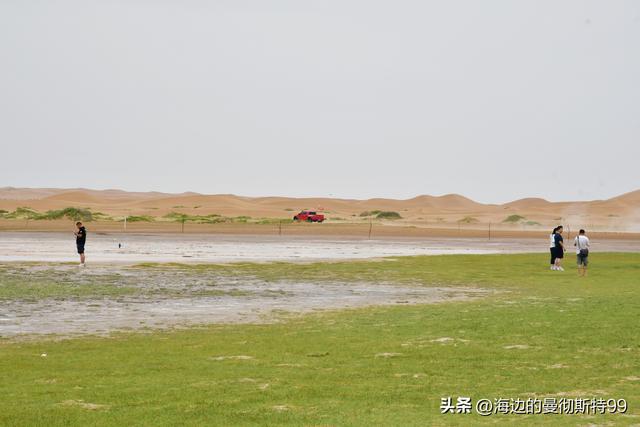 海边游记｜沙海狂飙与绿洲寻踪：内蒙古腾格里沙漠一日“历险记”