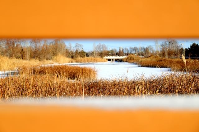 雪后枣乡 如诗如画#祁连山下是我家##厚道甘肃#