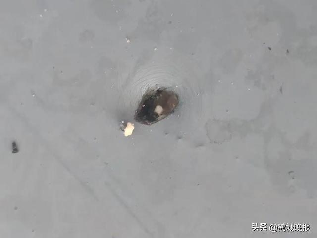惊险！两架无人机上海环球金融中心高空对撞，飞手遭行政处罚