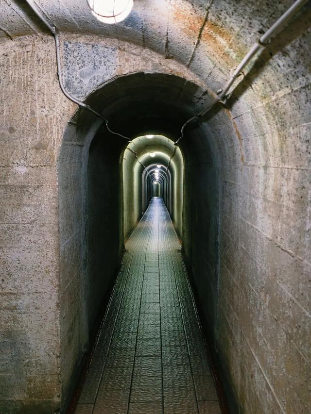 逛起来！8小时10个公园！