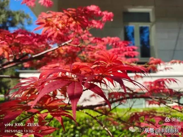 申艳娟｜北京宽沟会议中心：京郊的宁静桃源