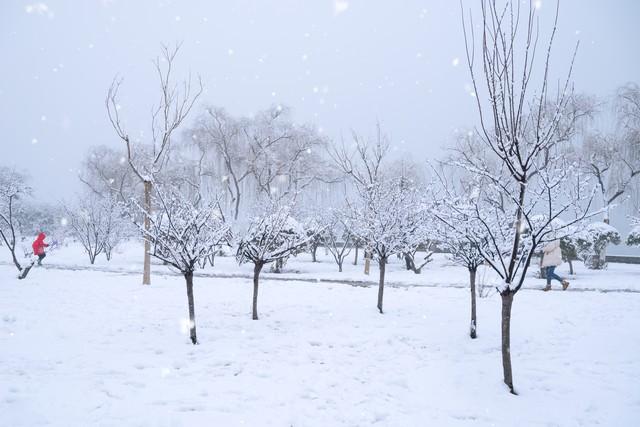 “春节冷不冷，就看大雪	”	，明日大雪，2026年春节特别冷吗？