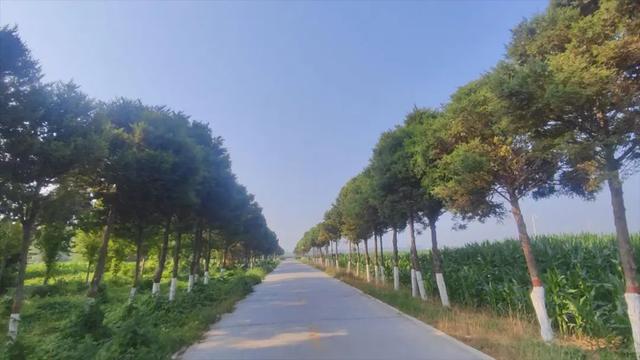 农田掩映汉末传奇毓秀台