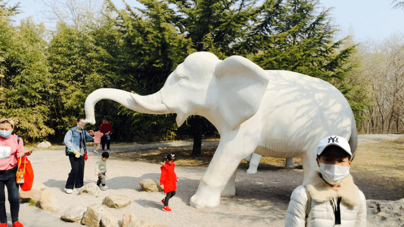 潍坊一4A级景区官宣！永久免门票啦！