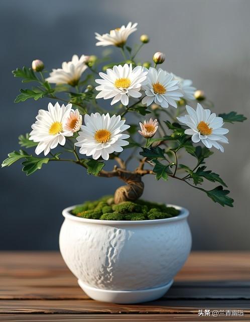 两性关系	，68女人大实话，男人过了70岁，只剩下两个用处