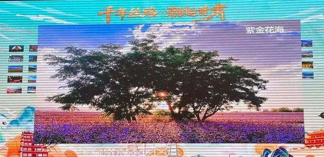 金川区：火星1号基地、紫金花海入选甘肃文旅新地标