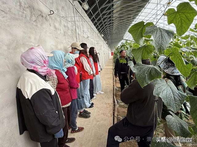 崇信县科协全国科普月活动绘就惠民新图景