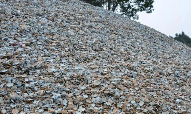 来醴陵不止有“三件套”,还有……