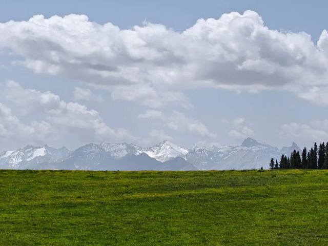 你收藏伊犁攻略里一定没有这一页 伊犁藏着不输任何收费景区风光。