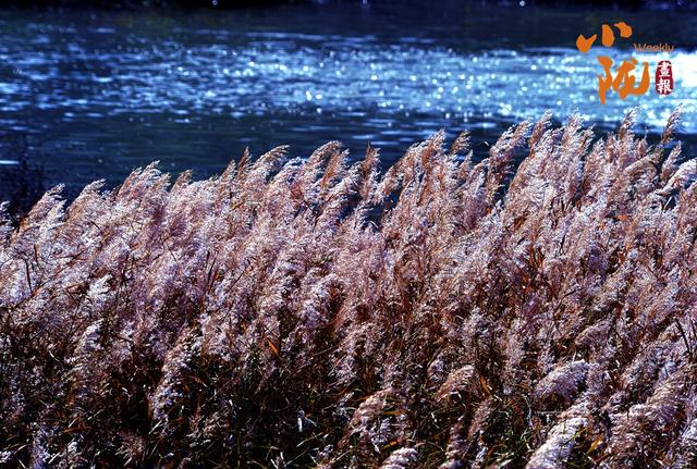 【小陇画报·437期】初冬，礼县美的像“油画世界”