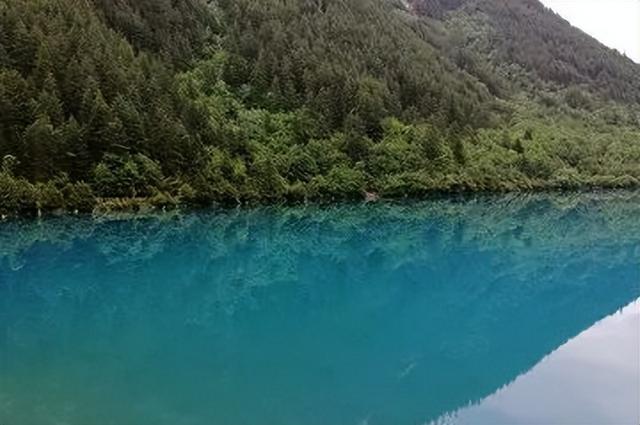 【美丽四川】九寨归来不看水‖管恒庆