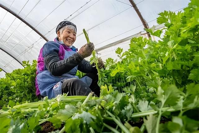 2025年9月5日 渭南文化旅游资讯微报（组图）