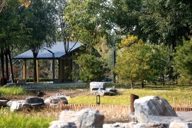 丰台的公园又双叒叕上新啦！