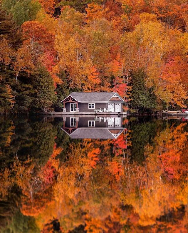 秋天的色彩，染在树上，也映在了水里