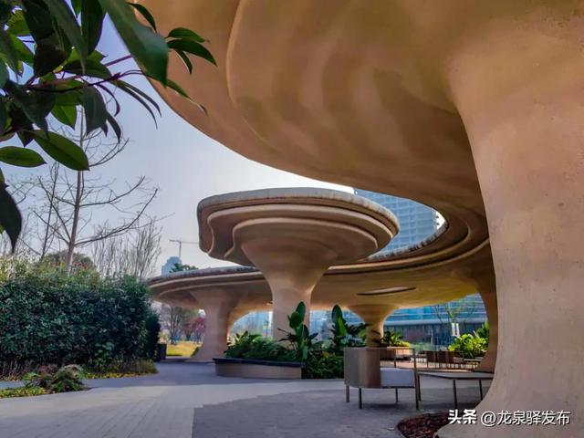 家门口的公园又+1!能遛娃、能夜跑、还能露营→