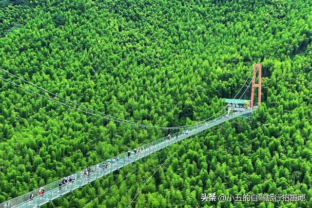 江浙沪 2h 微度假攻略｜5 个神仙地 48h 躺平计划，打工人逃离城市必藏