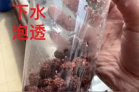 一个盘串10年的老手建议：金刚菩提新串，入手第一步先泡水图片