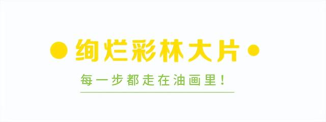绝了！2h直抵彩林胜境！徒步遛娃冲绝版奖牌，集五福刮999足金！闹非遗羌年、吃刨汤羌宴！