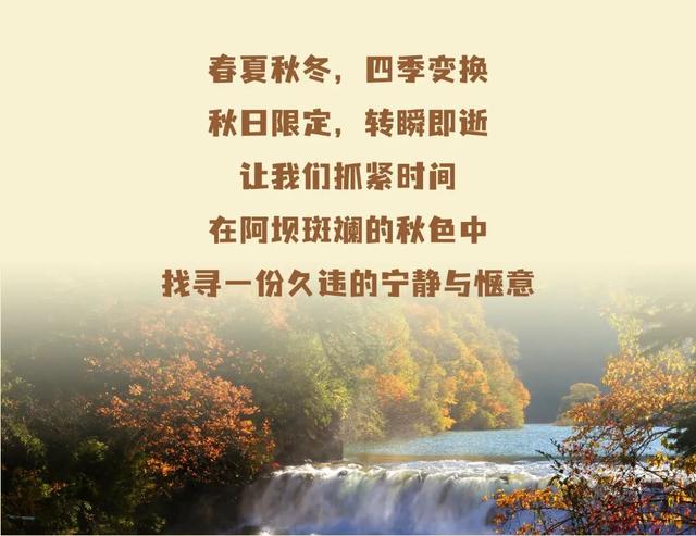 “捡”秋，本宫的眼睛想看彩林了！