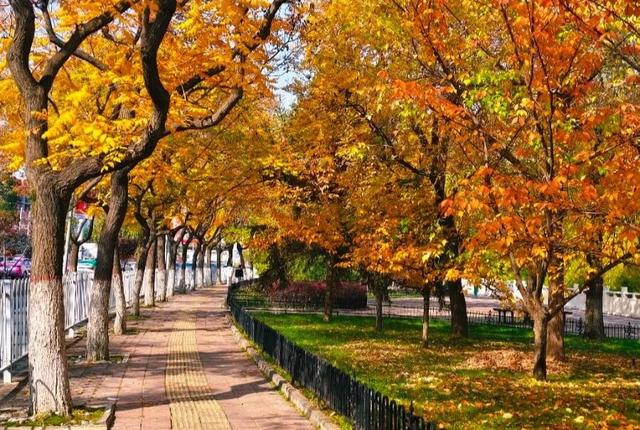 七里河畔晨光好 文明城市气象新