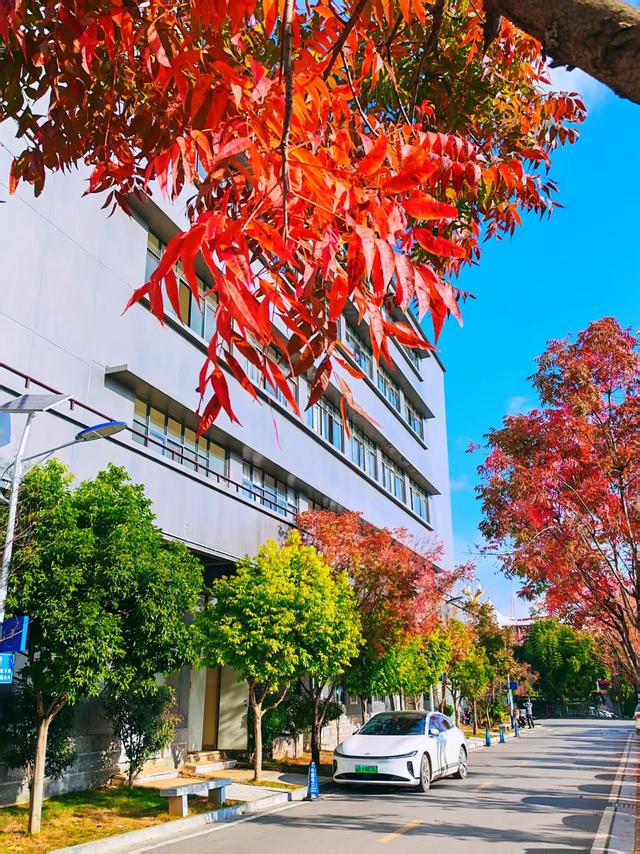 【新年絮语】陆良培芳医院之美