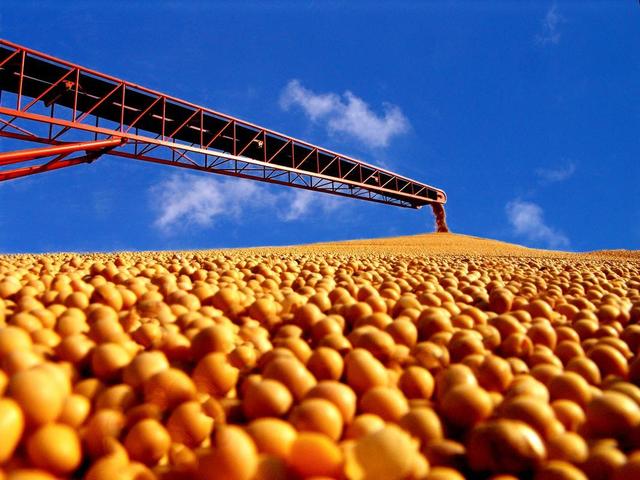 中国如何用20年逆转乾坤？一个普通农作物，成大国博弈关键筹码！