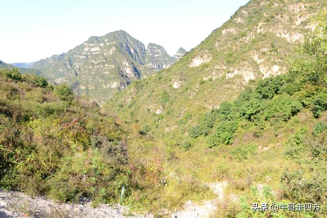 延庆应梦寺（五）：山巅极目收千嶂，林海听风涤尘心