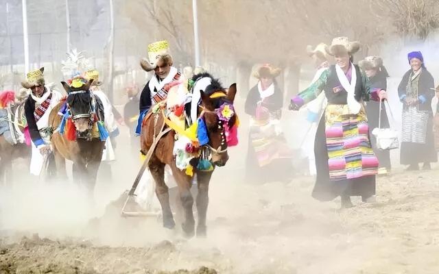 西藏有好几个“年”，冬天来西藏过年太值了！