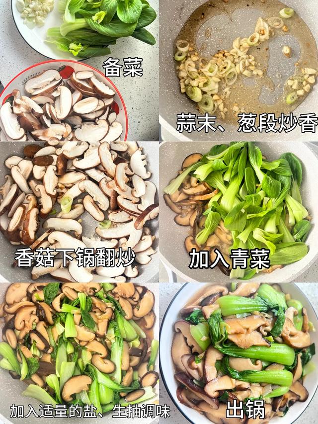 越吃眼睛越亮的小白菜，秋天多吃这4种做法，护眼又营养！